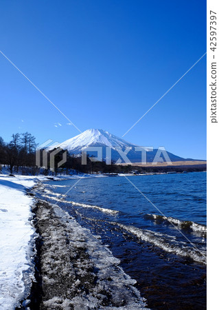 富士山·山中湖的風景 42597397