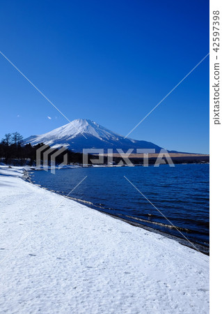 富士山·山中湖的風景 富士山·山中湖的風景 42597398