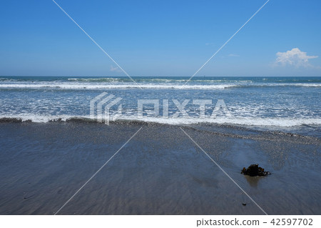 沿海景觀·木材海岸 沿海景觀·木材海岸 42597702