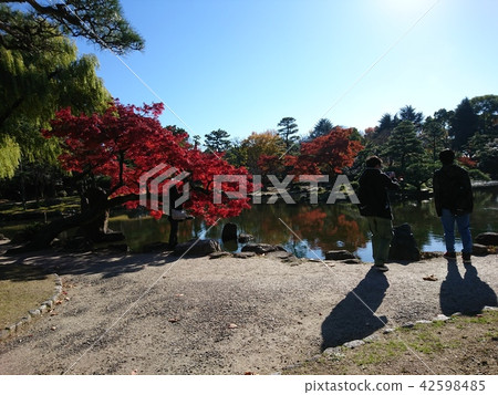 鶴舞公園秋葉 42598485