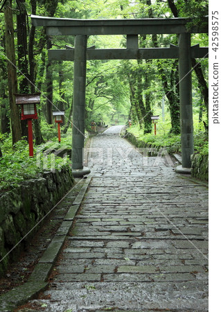 接近道路的Oyama石路面 42598575
