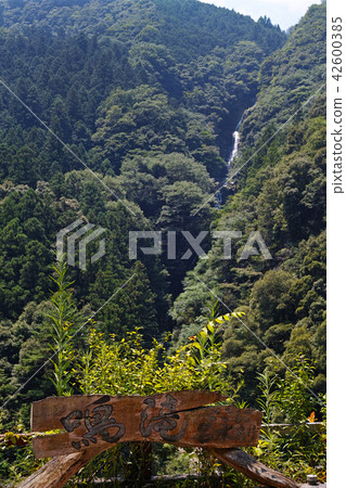 [德島縣/旅遊景點] Narutaki（概述） 42600385
