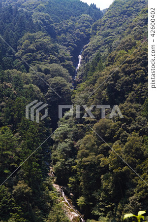 [Tokushima Prefecture/Tourist Attractions] Narutaki (Overview) 42600402