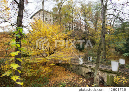 Public park in Zatec park in the autumn. Czech Public park in Zatec park in the autumn. Czech 42601716