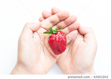 療癒水果草莓 癒やしフルーツの苺 Healing fruits strawberry 超級食物 營養 療癒水果草莓 癒やしフルーツの苺 Healing fruits strawberry 超級食物 營養 42601842