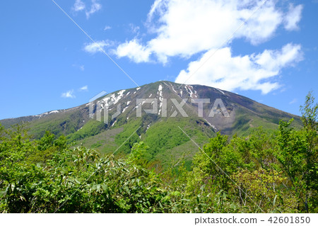 Mt. Iwate from the mountain top of Kurakake mountain Mt. Iwate from the mountain top of Kurakake mountain 42601850