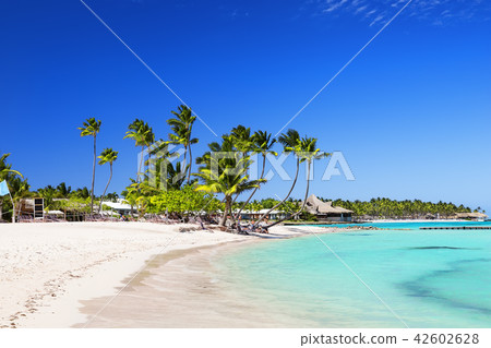 View of nice tropical beach with green palms 42602628