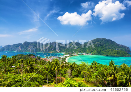 Beautiful tropical Phi-Phi island 42602766