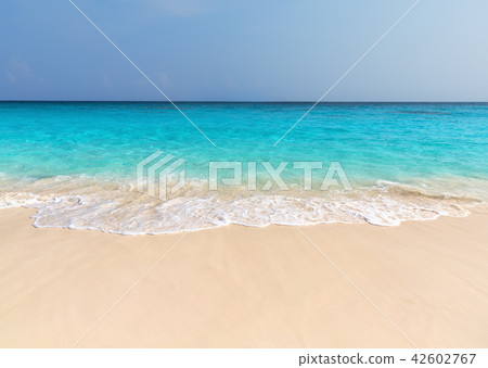 Wave of the sea 42602767