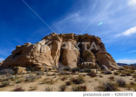 Strange rocks in Joshua Tree National Park, USA 42603078