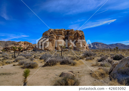 Strange rocks in Joshua Tree National Park, USA 42603092