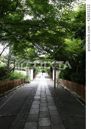 日本龍安寺山門的進法 42603222