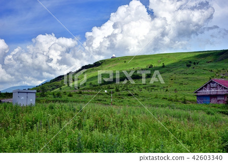 Nagano prefecture Kirigamine Vehicle line from the Venus Line Nagano prefecture Kirigamine Vehicle line from the Venus Line 42603340