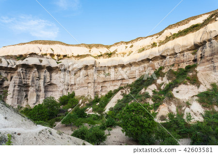 ravine near Goreme town in Cappadocia in spring 42603581
