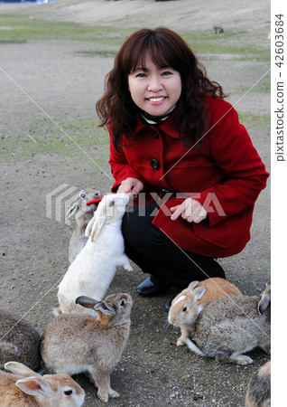 Rabbit Portrait of Okunojima 42603684