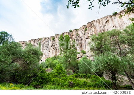 overgrown gorge of Ihlara Valley in Cappadocia overgrown gorge of Ihlara Valley in Cappadocia 42603928