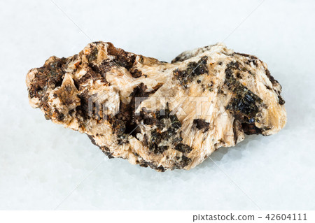 Perovskite stone in raw Clinochlore rock on white Perovskite stone in raw Clinochlore rock on white 42604111