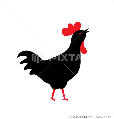 rooster silhouette isolated on white background 42604738