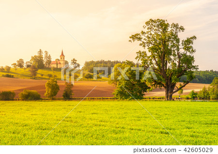 Small church in the middle of lush green spring landscape on sunny day. St. Peter and Pauls church 42605029