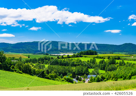 “北海道”美瑛·鄉村景觀拼湊路徑 42605526