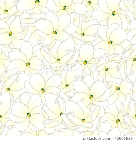 Arabian Jasmine Seamless Background Arabian Jasmine Seamless Background 42605686
