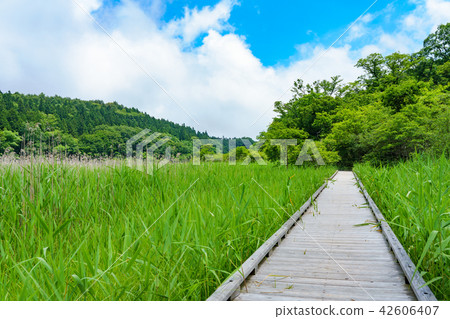 Tochigi Prefecture Nasushiobara Onuma Park Yoshi Ramblant (July) Tochigi Prefecture Nasushiobara Onuma Park Yoshi Ramblant (July) 42606407