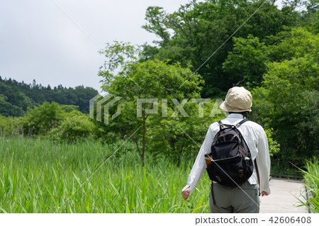 Tochigi Prefecture Nasushiobara Onuma Park Yoshi Ramblant (July) Tochigi Prefecture Nasushiobara Onuma Park Yoshi Ramblant (July) 42606408