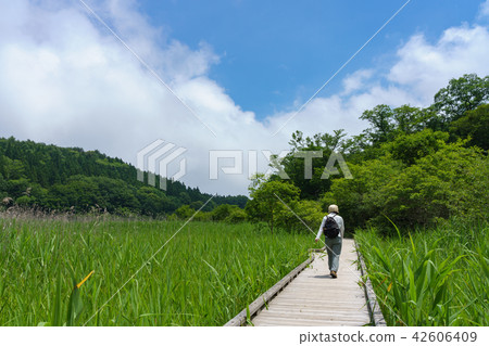 Tochigi Prefecture Nasushiobara Onuma Park Yoshi Ramblant (July) 42606409