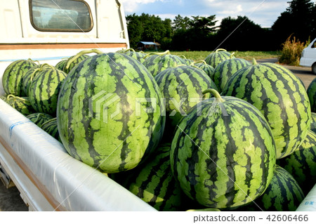 Watermelon on a truck Watermelon on a truck 42606466