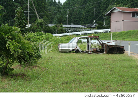 Hakosuka站立 42606557