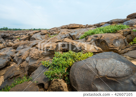 Natural of Rock Canyon in Mekhong River, Thailand Natural of Rock Canyon in Mekhong River, Thailand 42607105