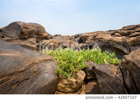 Natural of Rock Canyon in Mekhong River, Thailand Natural of Rock Canyon in Mekhong River, Thailand 42607107