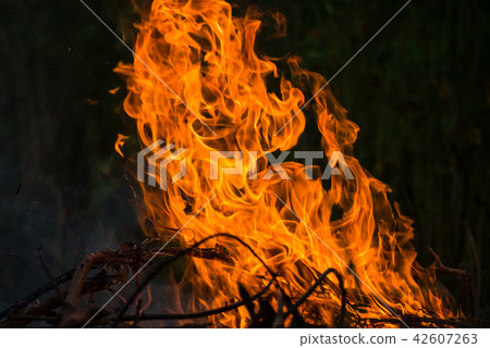 Wildfire burning 42607263