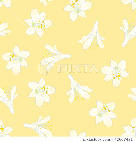 Snow White Agapanthus on Yellow Background 42607481