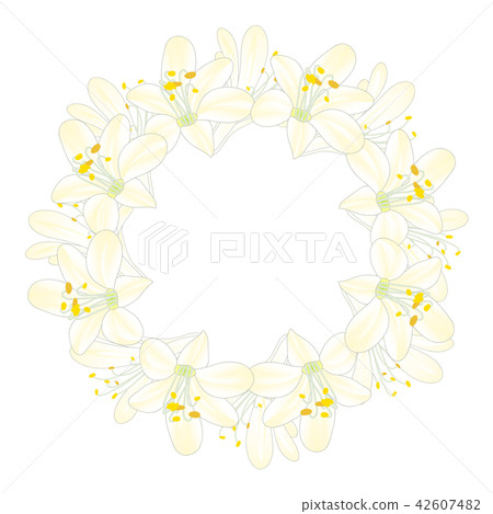 Snow White Agapanthus Wreath. 42607482