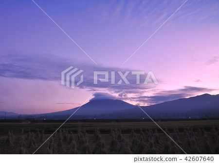 Morning glow Sky and Mt. Fuji -4121 42607640