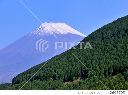 檜木和富士山-3380 檜木和富士山-3380 42607705