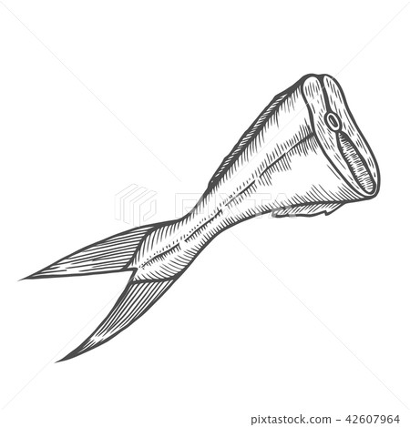 Tail of fish is cut off 42607964