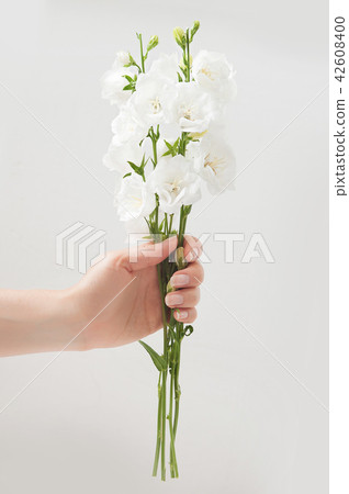 Flowers to gift. Beautiful white bells in female hands. Spring time and inspiration Flowers to gift. Beautiful white bells in female hands. Spring time and inspiration 42608400
