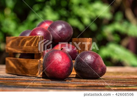 Pluot, mix of plum and apricot in wooden box close 42608506