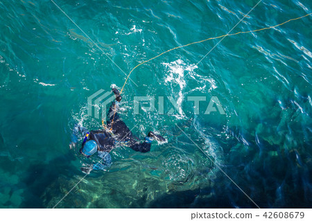 Diver on the surface of bluish Diver on the surface of bluish 42608679