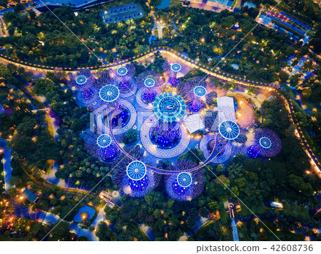 Supertree Grove. Garden by the bay in Marina Bay 42608736