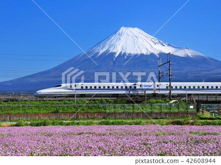 黃芪和子彈頭列車和富士山5039 黃芪和子彈頭列車和富士山5039 42608944