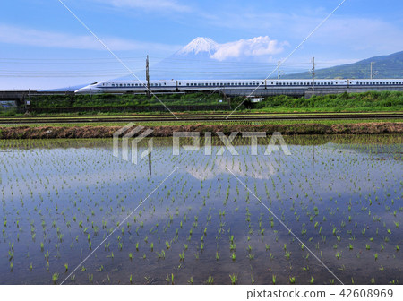 Paddy field and Shinkansen and Mt. Fuji-5073 Paddy field and Shinkansen and Mt. Fuji-5073 42608969