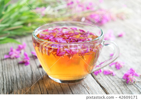 Fireweed healthy tea. Mug of chamerion tea. 42609171