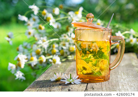 Healthy herbal tea cup and daisy herbs bunches. Healthy herbal tea cup and daisy herbs bunches. 42609174