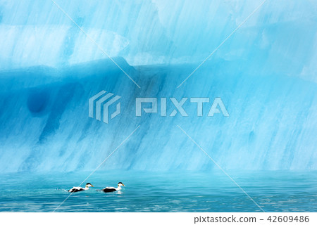Icebergs in Jokulsarlon glacial lagoon 42609486