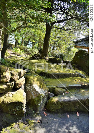 Sengakuen Shimazu Saigo Todoroki Saigo Takamori Atsuhime World Cultural Heritage Large Daimyo Garden Okubo Toshimedeto Sogodon Location Sengakuen Shimazu Saigo Todoroki Saigo Takamori Atsuhime World Cultural Heritage Large Daimyo Garden Okubo Toshimedeto Sogodon Location 42610538