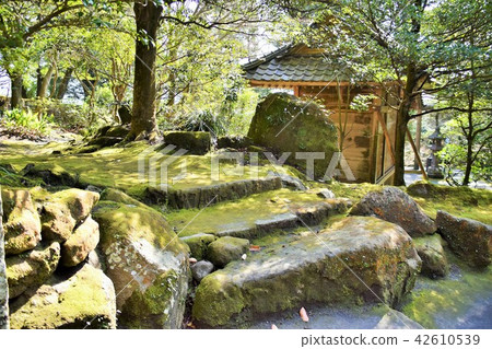 Sengakuen Shimazu Saigo Todoroki Saigo Takamori Atsuhime World Cultural Heritage Large Daimyo Garden Okubo Toshimedeto Sogodon Location Sengakuen Shimazu Saigo Todoroki Saigo Takamori Atsuhime World Cultural Heritage Large Daimyo Garden Okubo Toshimedeto Sogodon Location 42610539