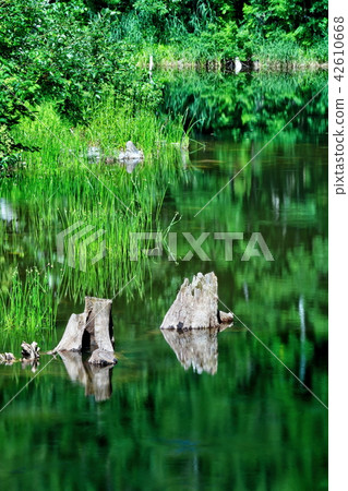 Summer Akiyama Town Tianchi 42610668